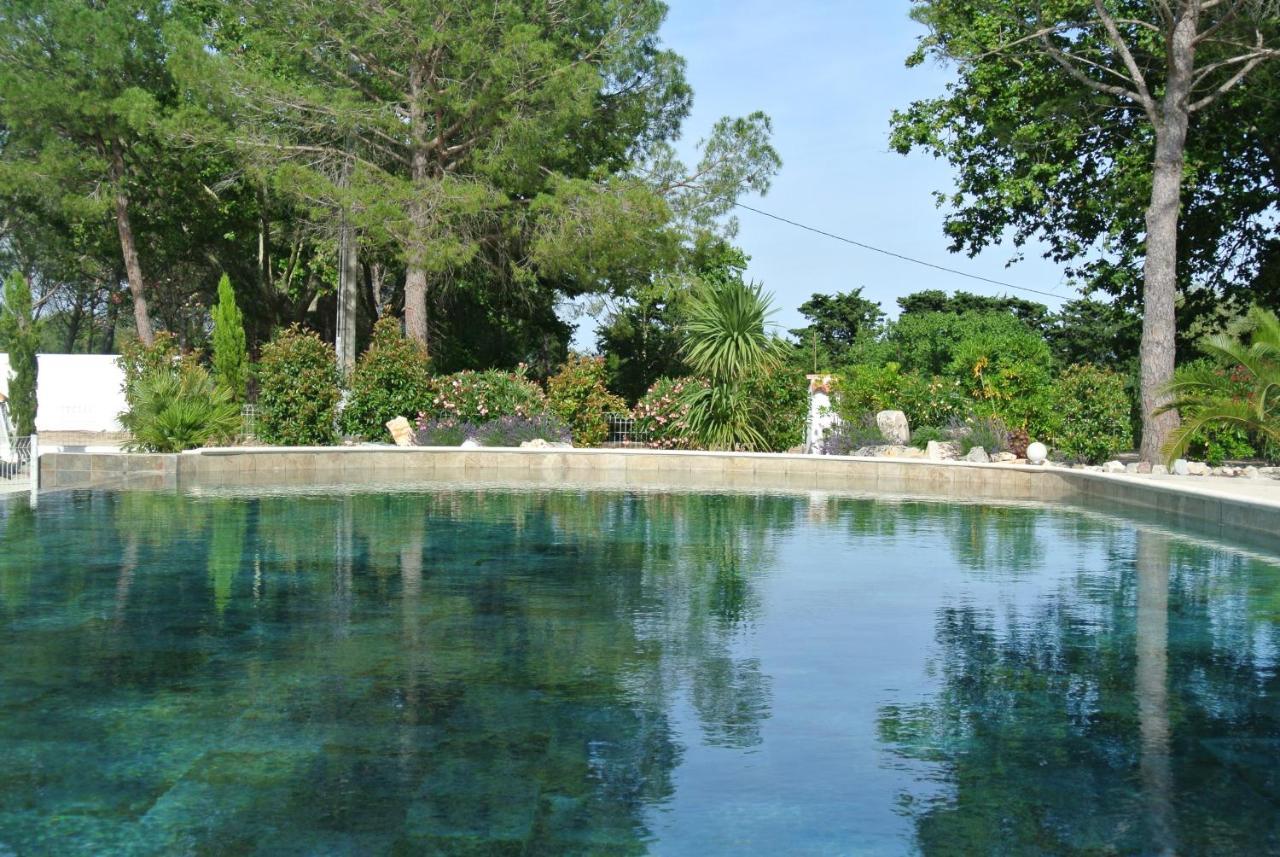 Grand Tamaris Hosting Bed and Breakfast Arles Exteriör bild